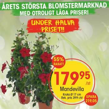 EKO reklamblad.