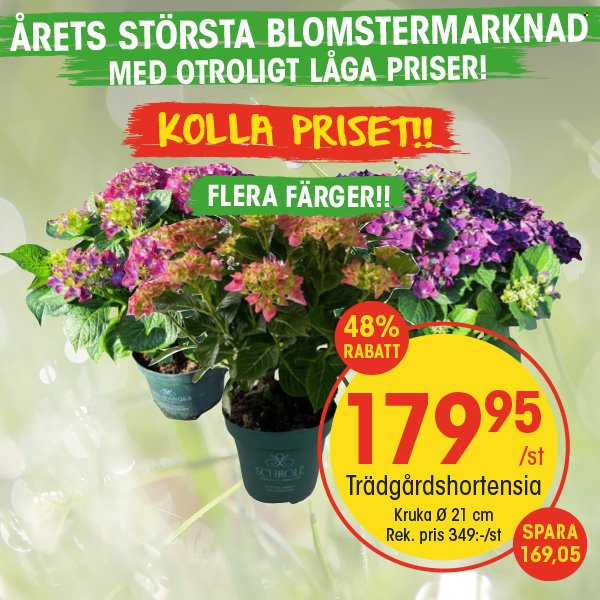 EKO reklamblad. Sida 2