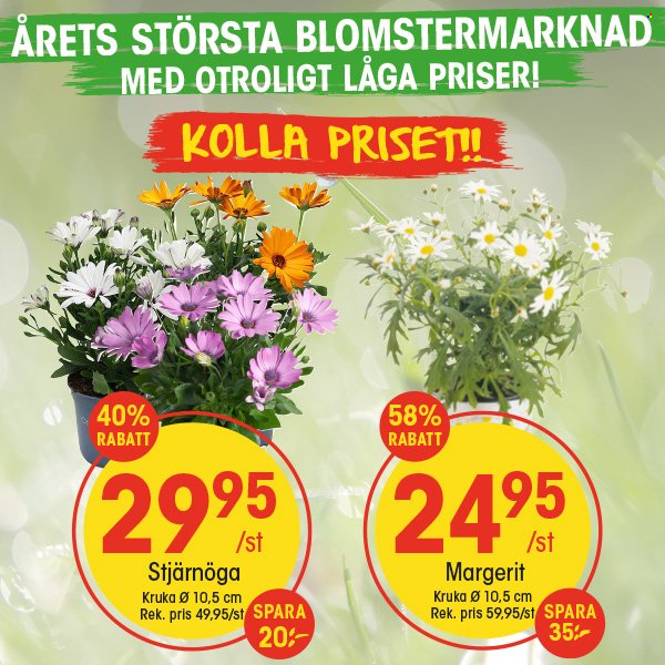 EKO reklamblad. Sida 5