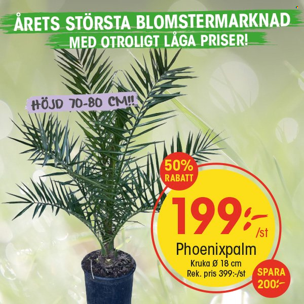 EKO reklamblad. Sida 6