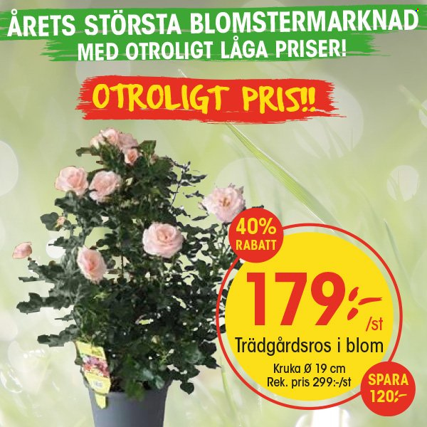 EKO reklamblad. Sida 8