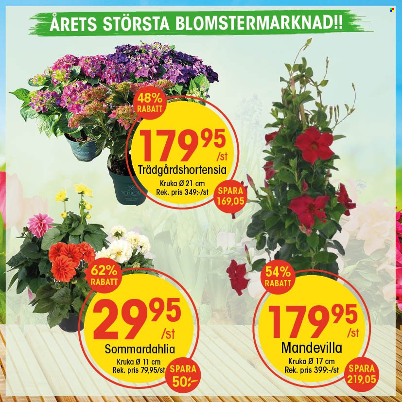 EKO reklamblad. Sida 1