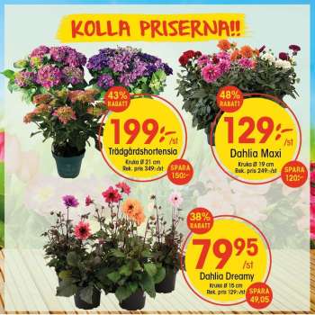 EKO reklamblad - 9/6 2025 - 15/6 2025.