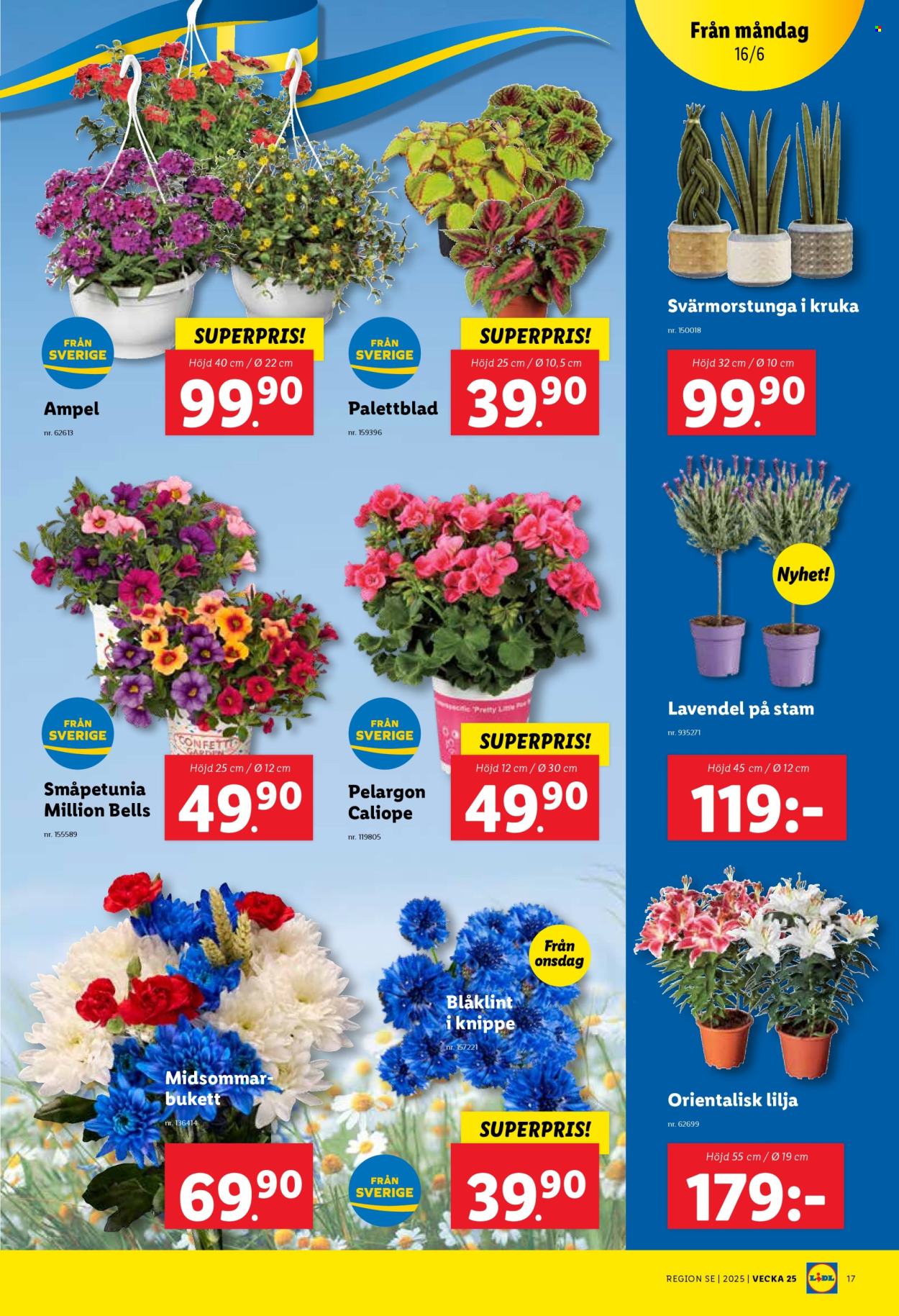 Lidl reklamblad - 16/6 2025 - 22/6 2025. Sida 19