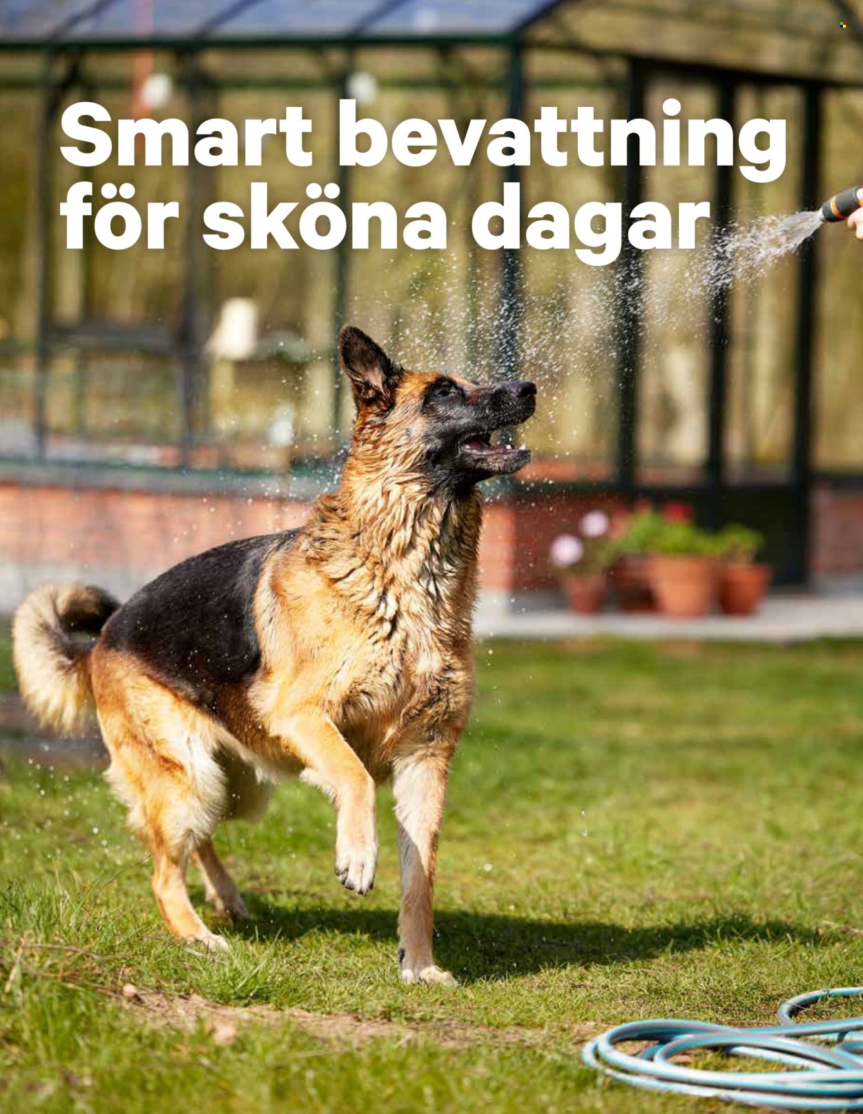 City Gross reklamblad - 9/6 2025 - 15/6 2025. Sida 21