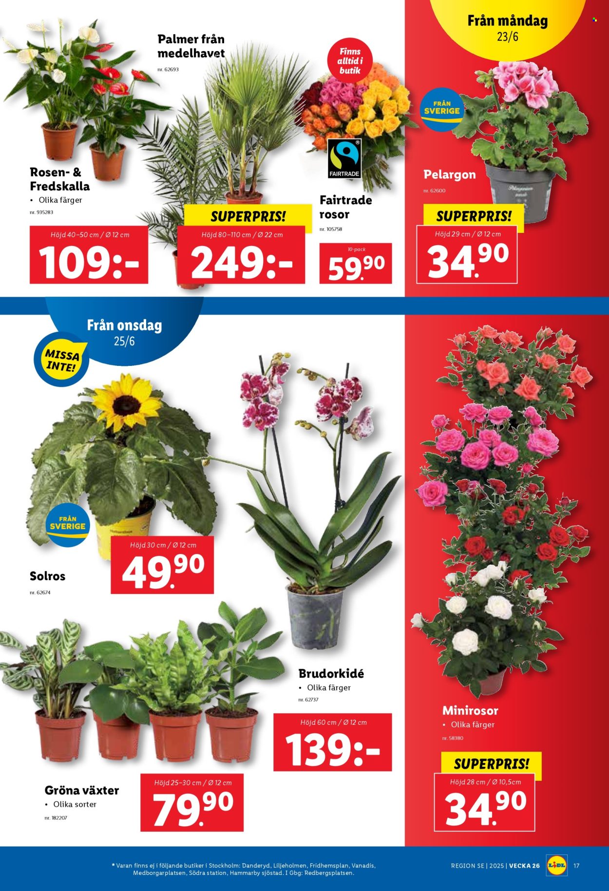 Lidl reklamblad - 23/6 2025 - 29/6 2025. Sida 19