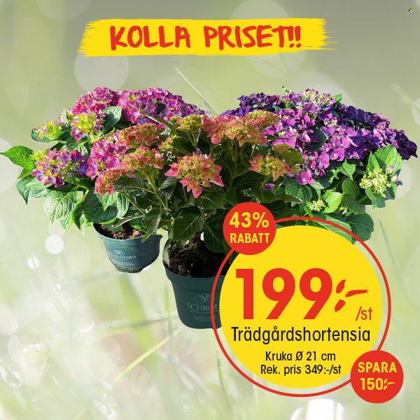EKO reklamblad. Sida 3