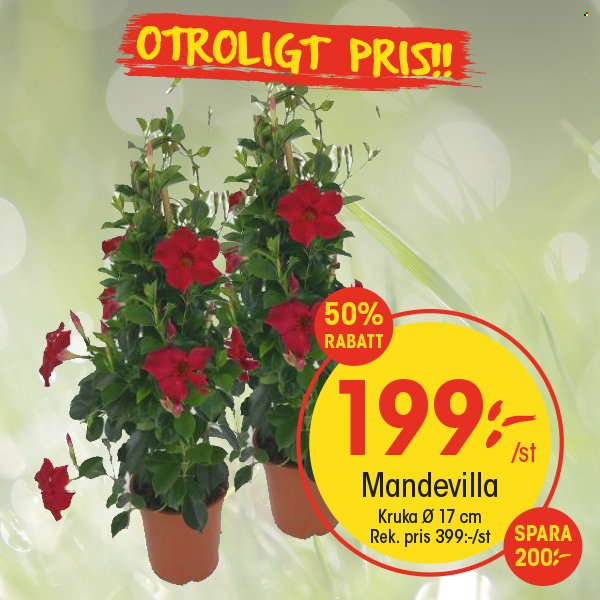 EKO reklamblad. Sida 4