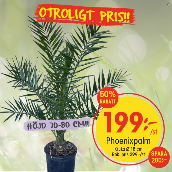 EKO reklamblad. Sida 5