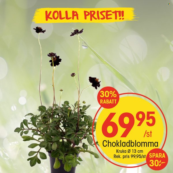 EKO reklamblad. Sida 6
