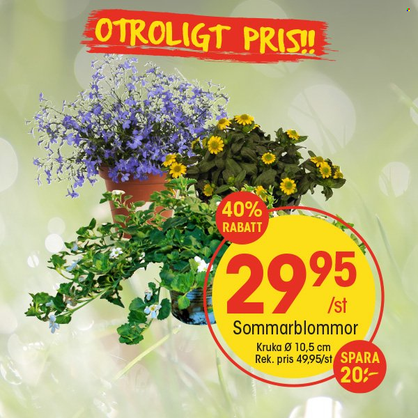 EKO reklamblad. Sida 8