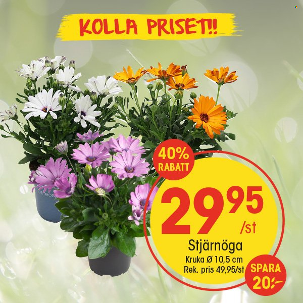 EKO reklamblad. Sida 10