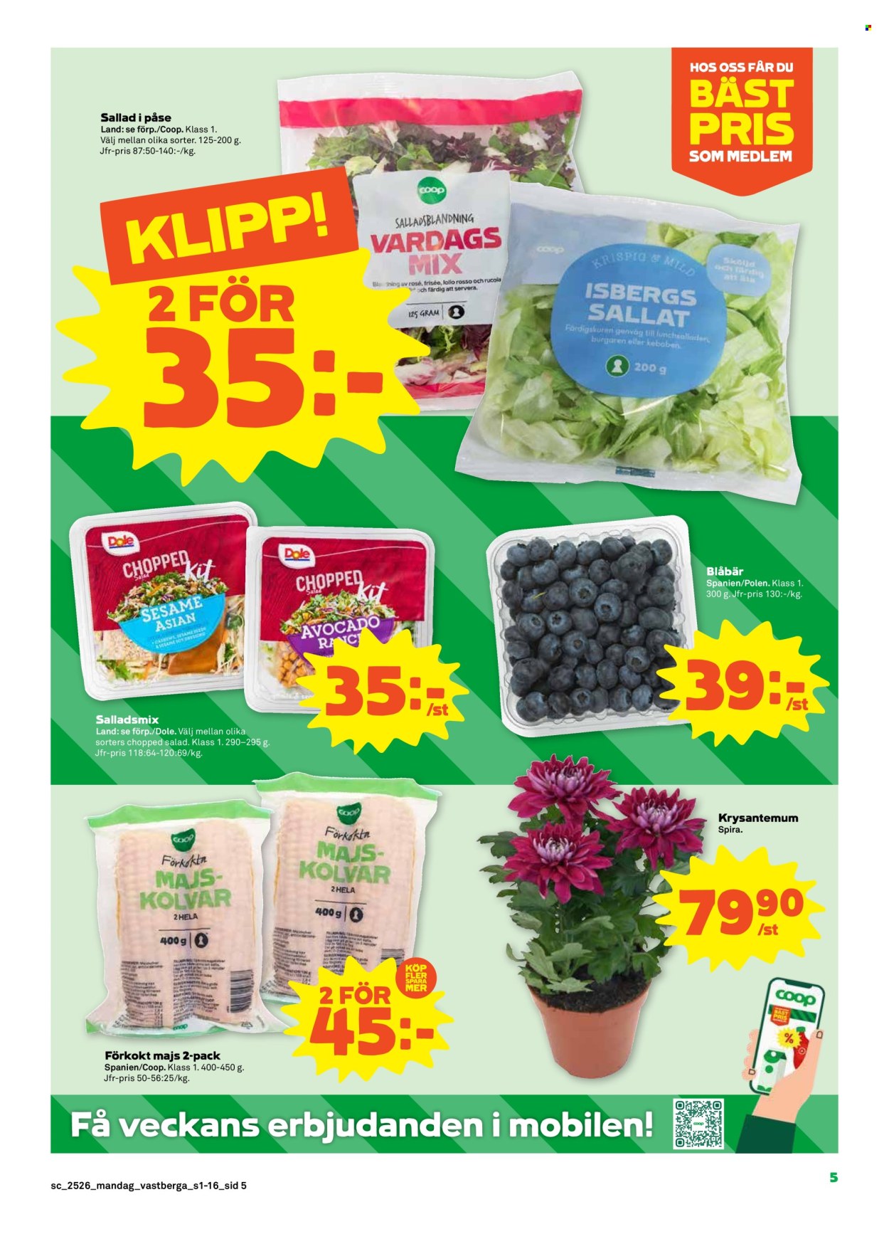 Stora Coop reklamblad - 23/6 2025 - 29/6 2025. Sida 5