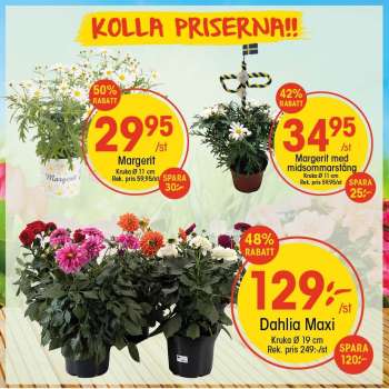 EKO reklamblad.