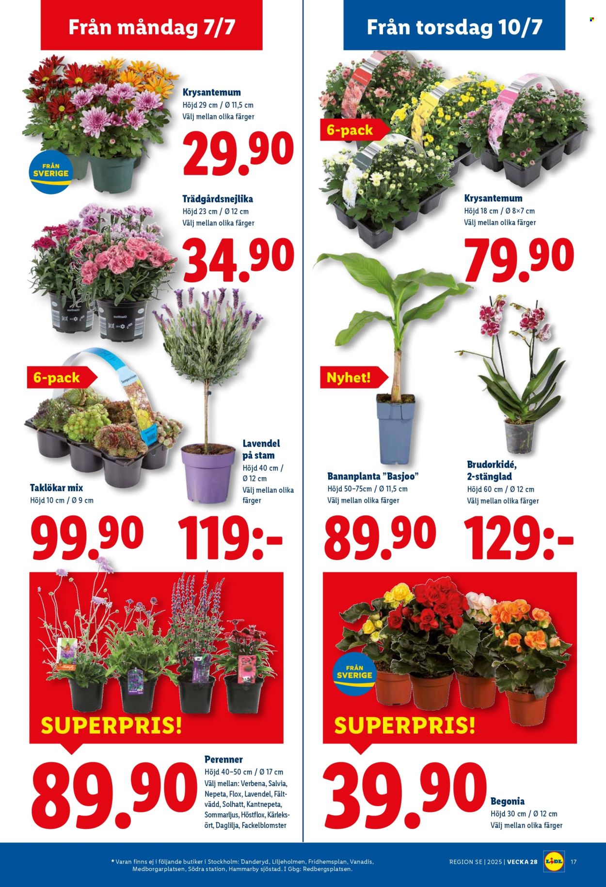 Lidl reklamblad - 7/7 2025 - 13/7 2025. Sida 20