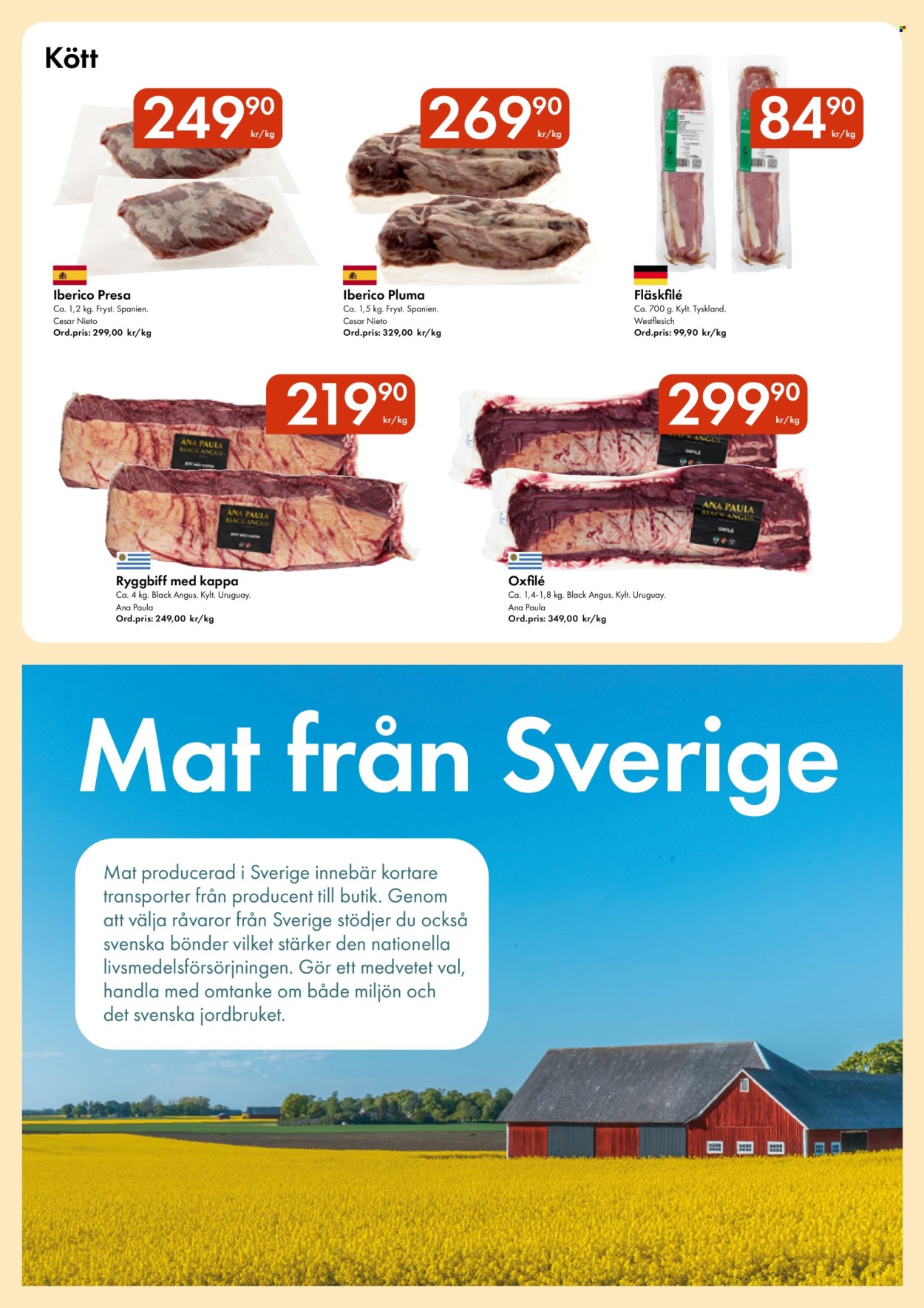 Snabbgross reklamblad - 14/7 2025 - 27/7 2025. Sida 3