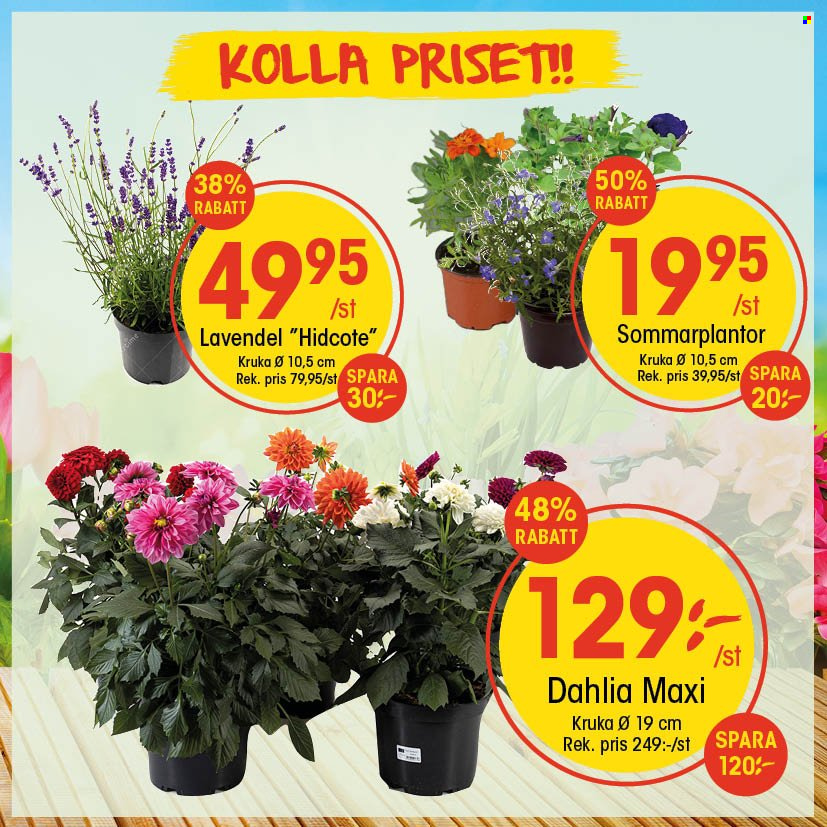 EKO reklamblad. Sida 1