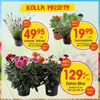 EKO reklamblad.