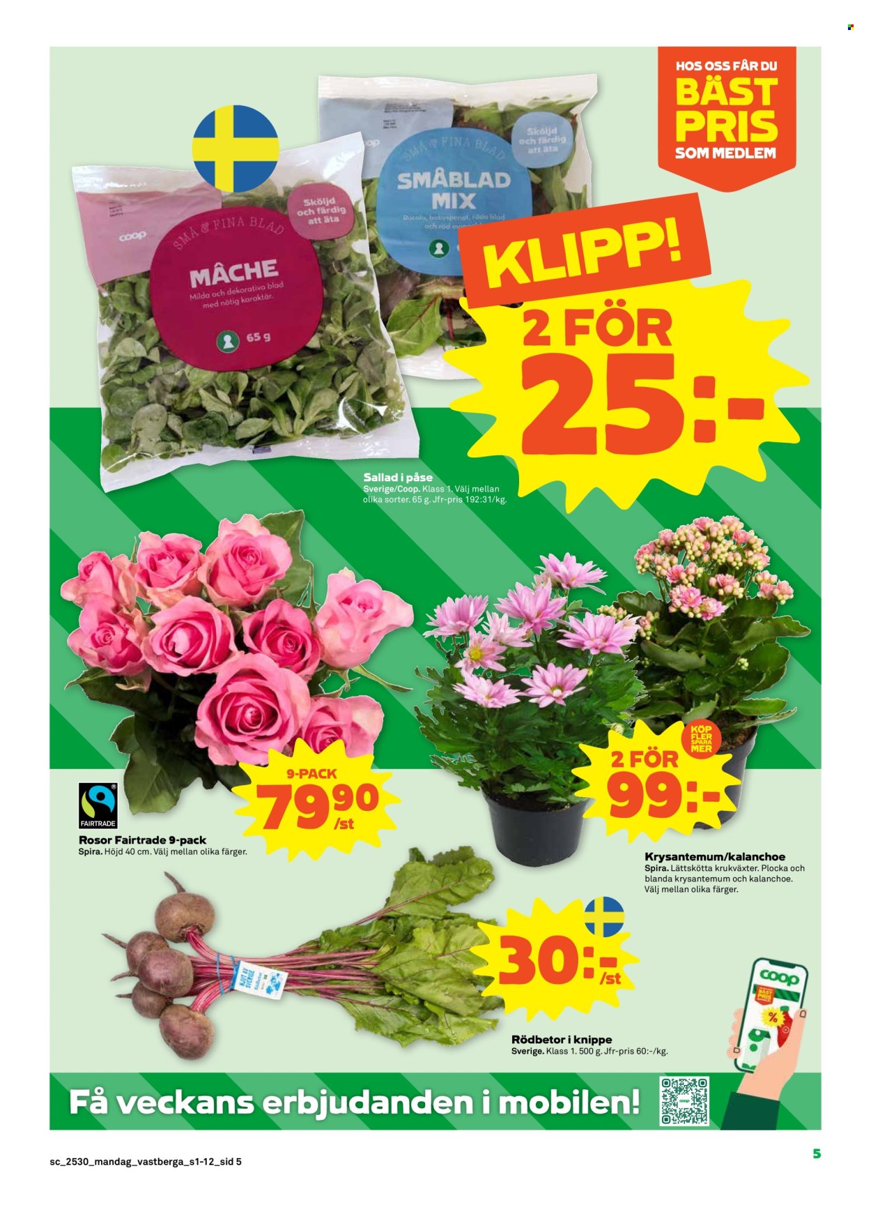 Stora Coop reklamblad - 21/7 2025 - 27/7 2025. Sida 5