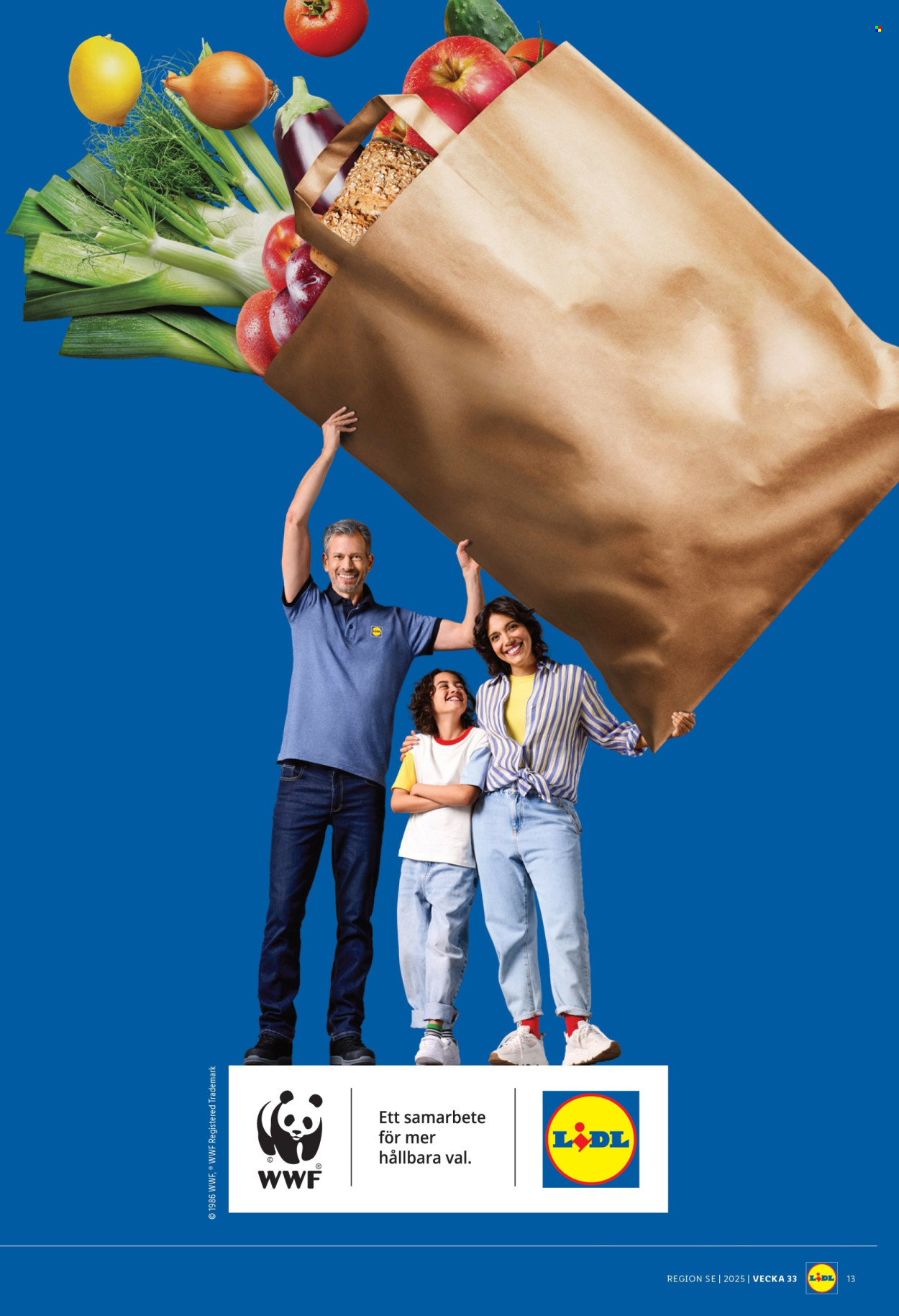 Lidl reklamblad - 11/8 2025 - 17/8 2025. Sida 16