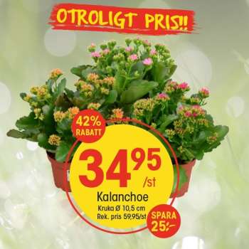 EKO reklamblad.