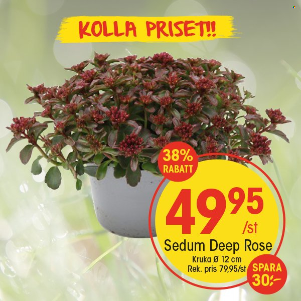 EKO reklamblad. Sida 10