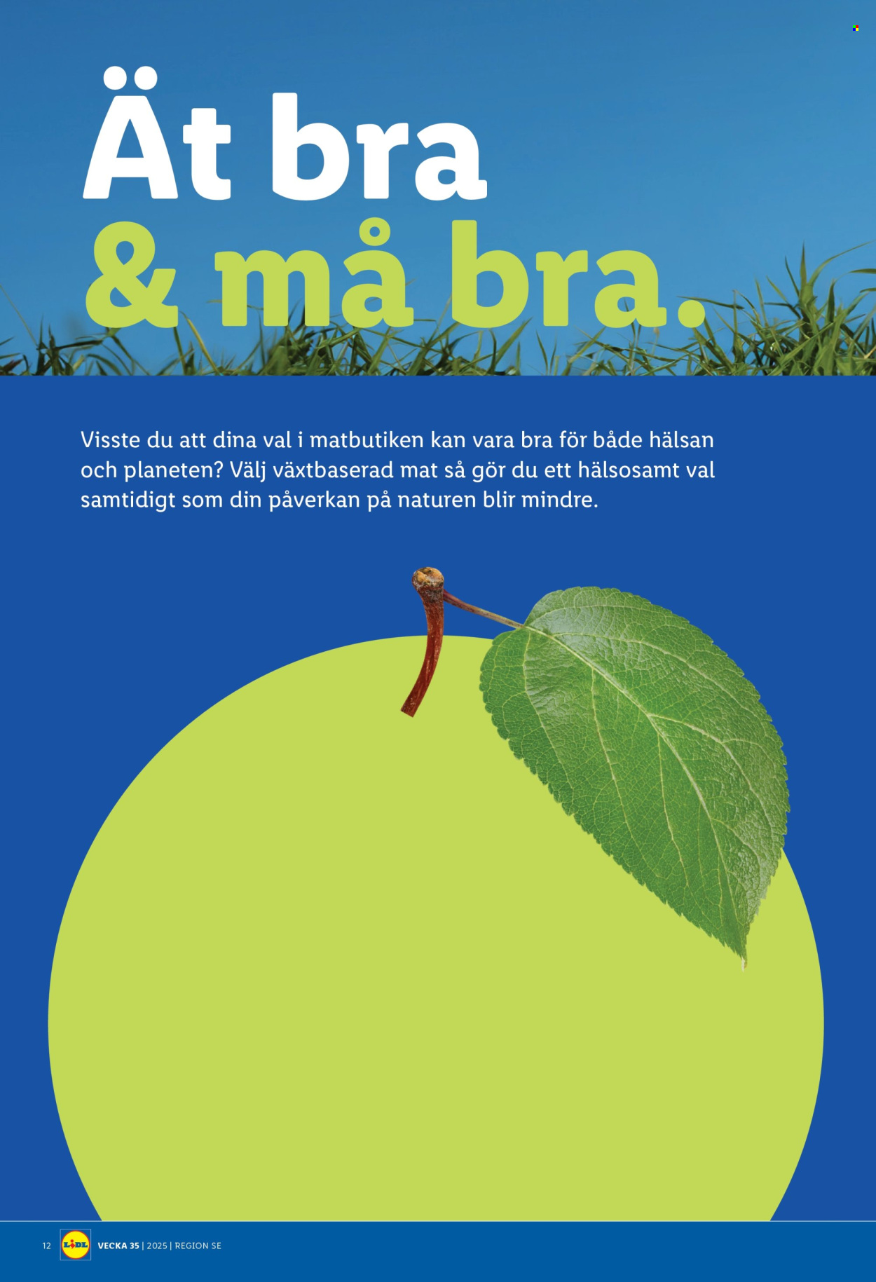 Lidl reklamblad - 25/8 2025 - 31/8 2025. Sida 14