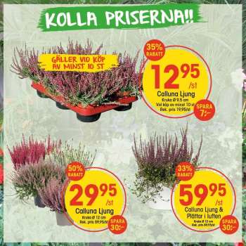 EKO reklamblad.