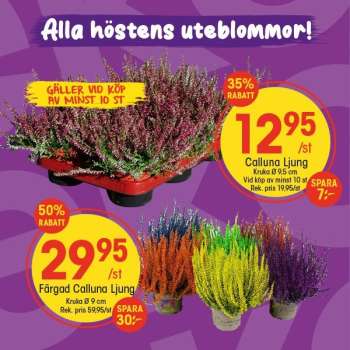 EKO reklamblad.