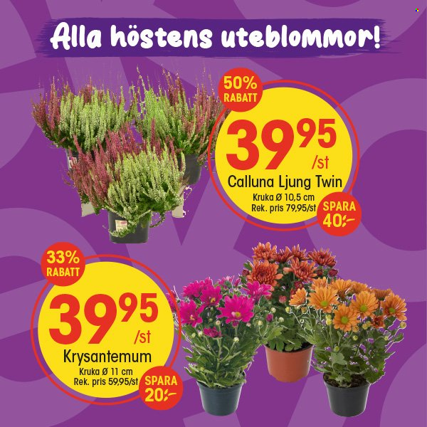 EKO reklamblad. Sida 2