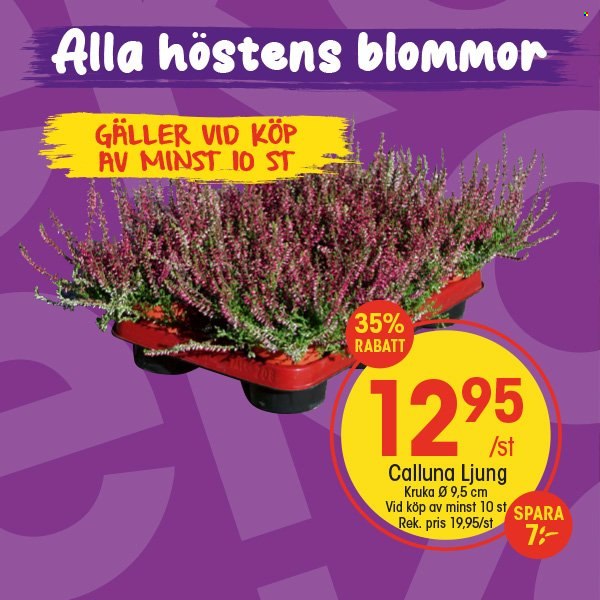 EKO reklamblad. Sida 2
