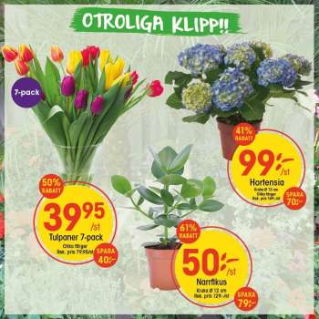 EKO reklamblad.