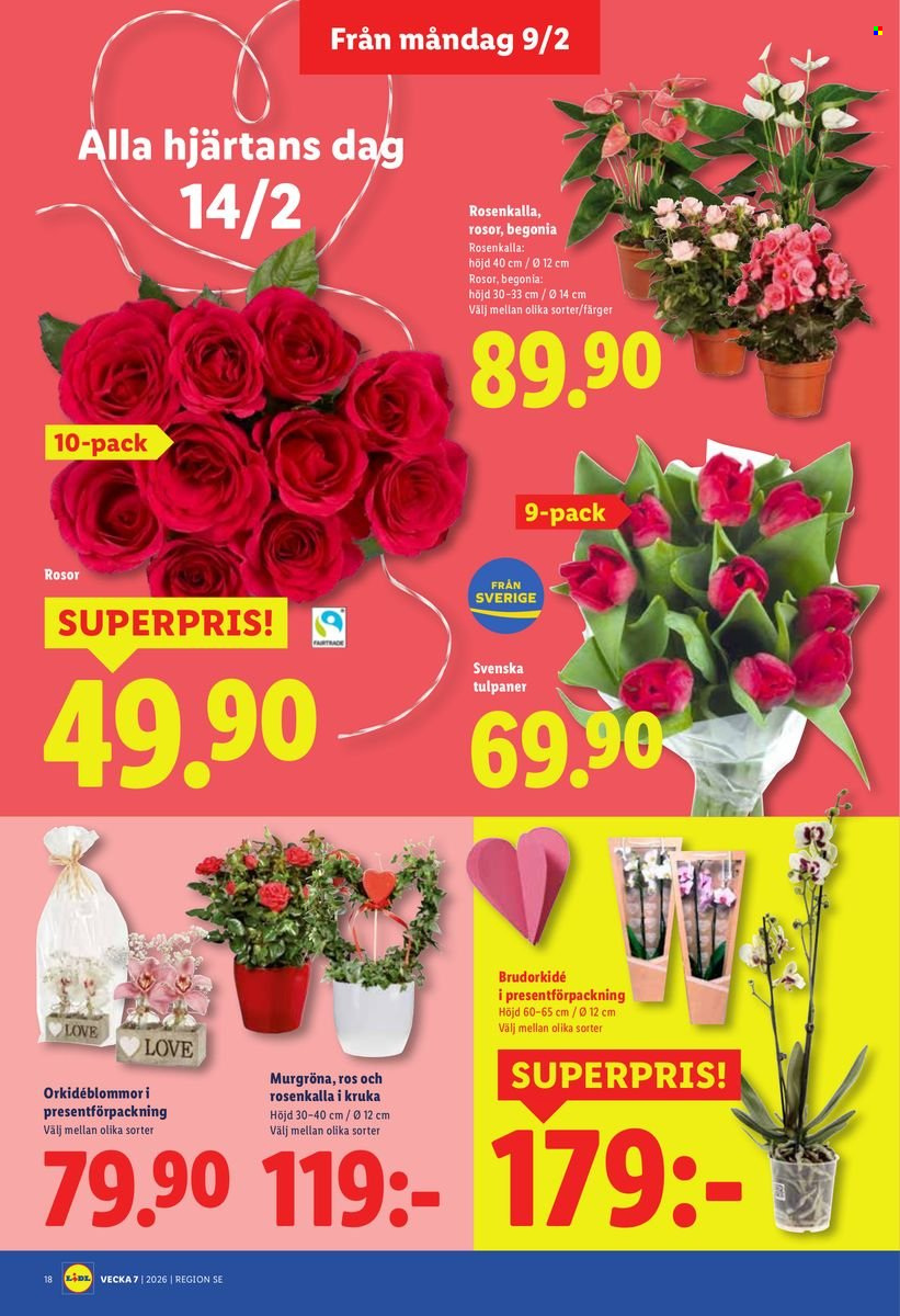 Lidl reklamblad - 9/2 2026 - 15/2 2026. Sida 21