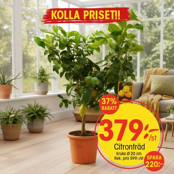 EKO reklamblad. Sida 9