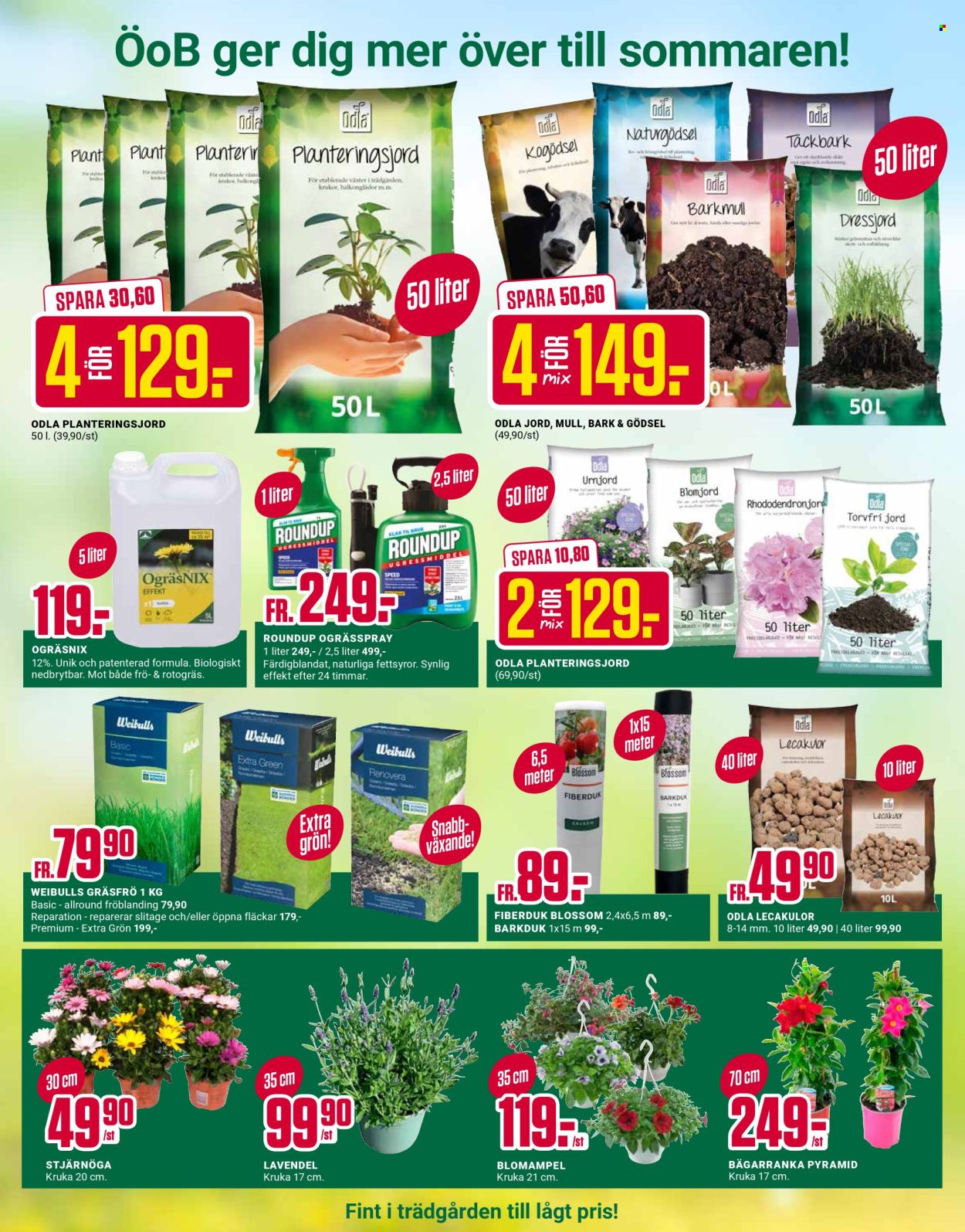 ÖoB reklamblad - 25/5 2026 - 31/5 2026. Sida 6