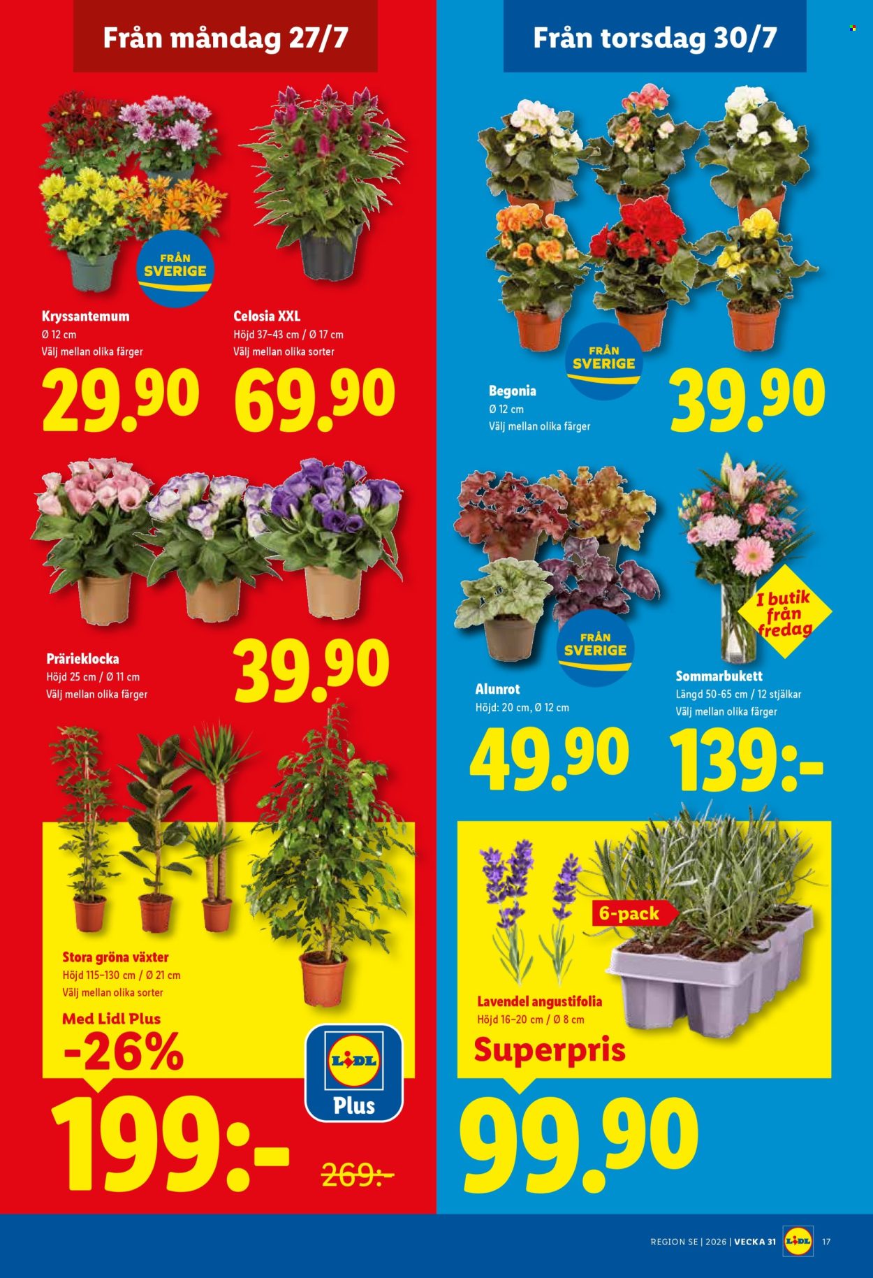 Lidl reklamblad - 27/7 2026 - 2/8 2026. Sida 19