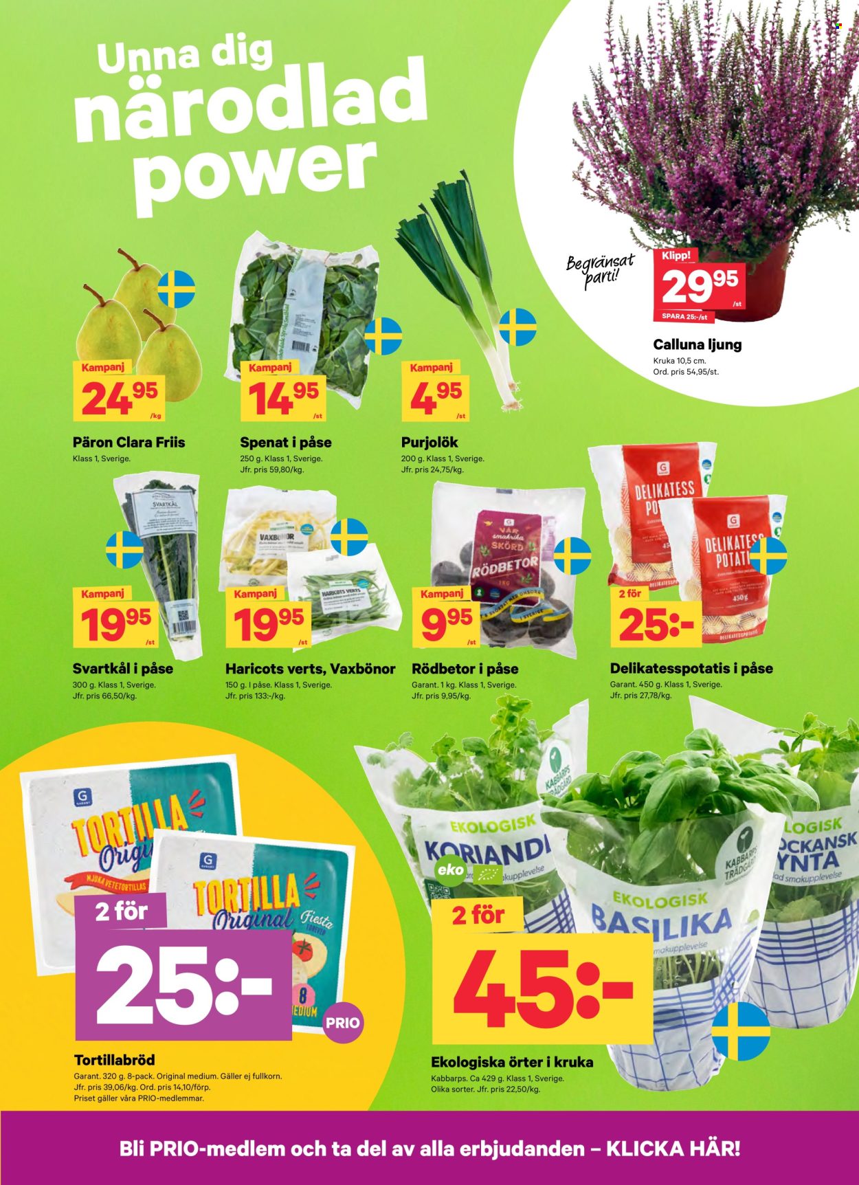 City Gross reklamblad - 14/9 2026 - 20/9 2026. Sida 4
