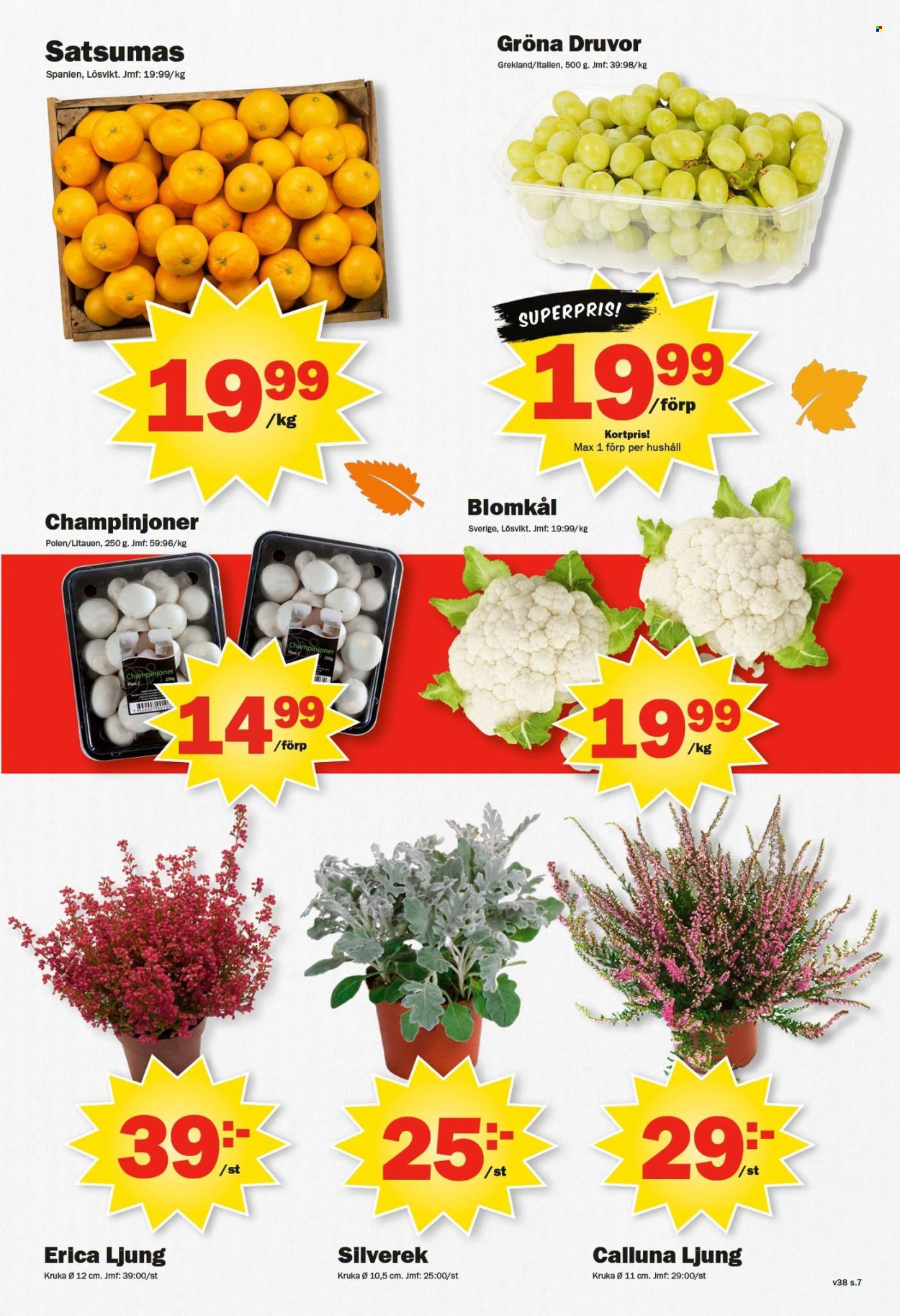 Pekås reklamblad - 14/9 2026 - 20/9 2026. Sida 7