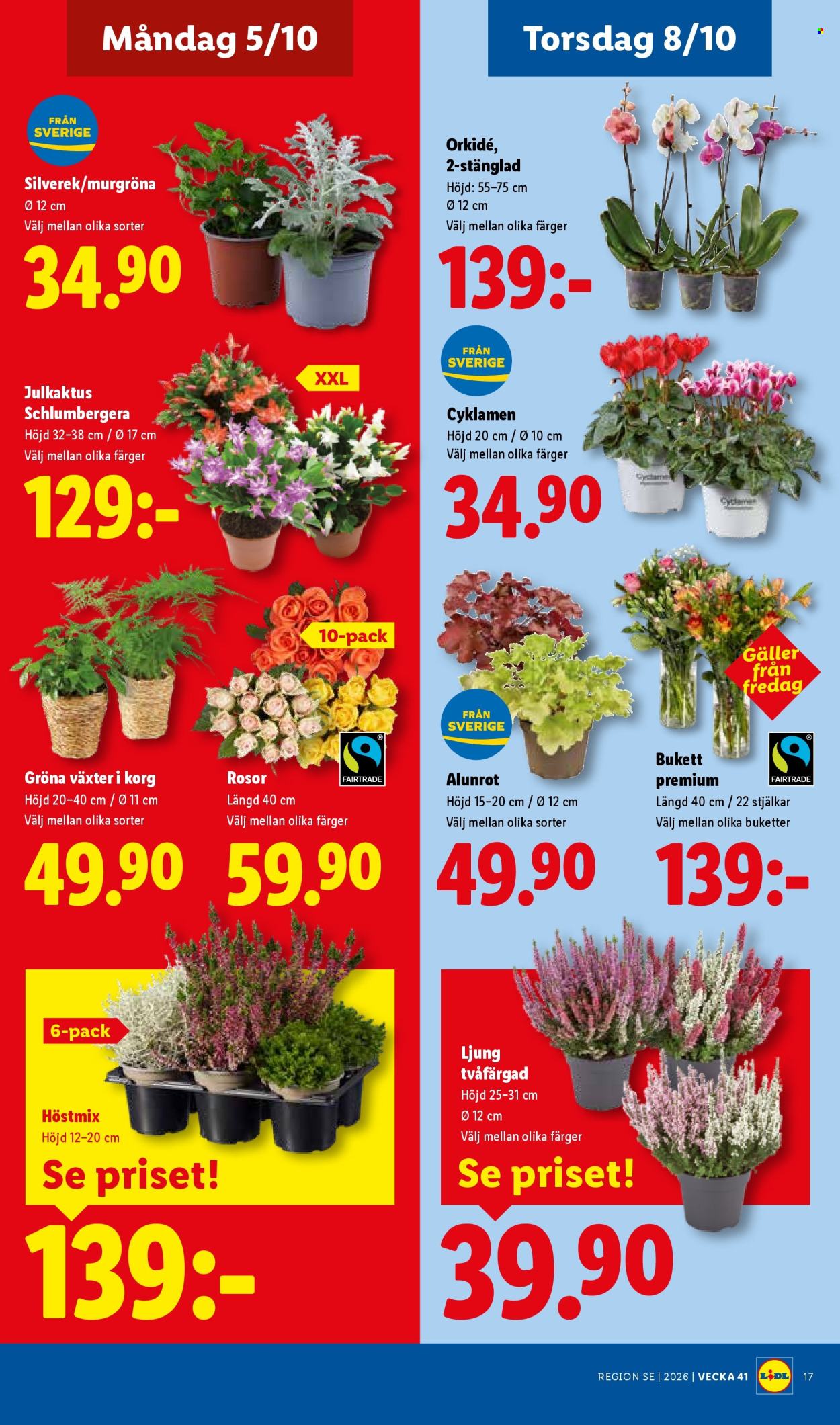 Lidl reklamblad - 5/10 2026 - 11/10 2026. Sida 22