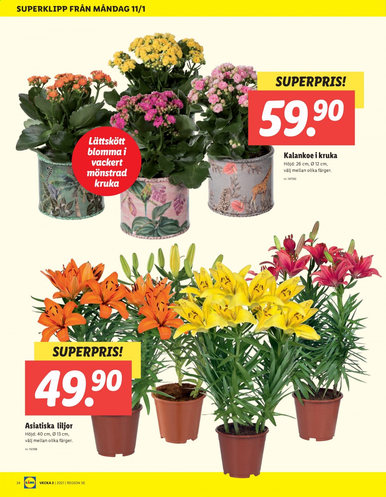 Lidl reklamblad - 11/1 2021 - 17/1 2021. Sida 24
