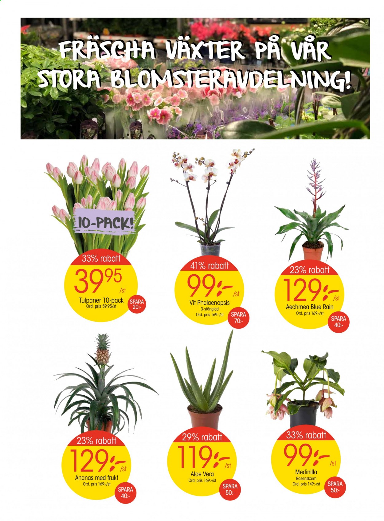 EKO reklamblad - 4/1 2021 - 10/1 2021. Sida 2