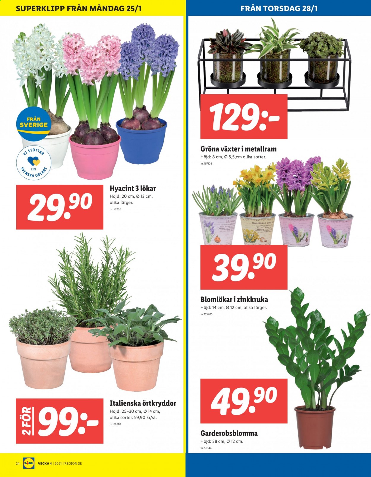 Lidl reklamblad - 25/1 2021 - 31/1 2021. Sida 24