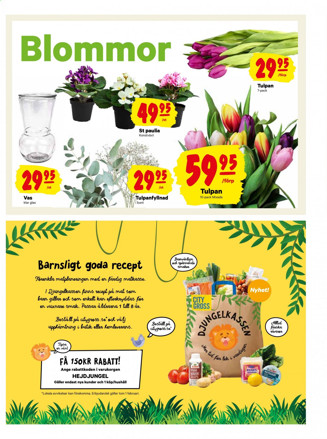 City Gross reklamblad - 18/1 2021 - 24/1 2021. Sida 13