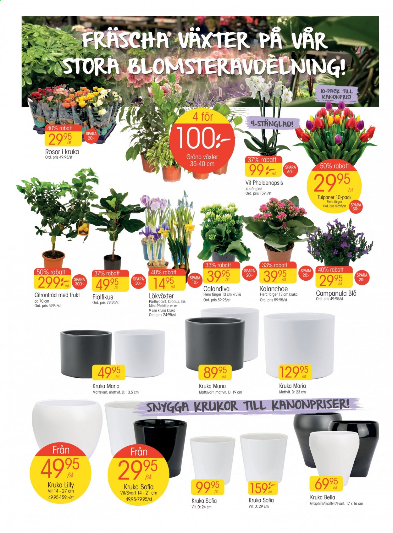 EKO reklamblad - 8/2 2021 - 14/2 2021. Sida 2