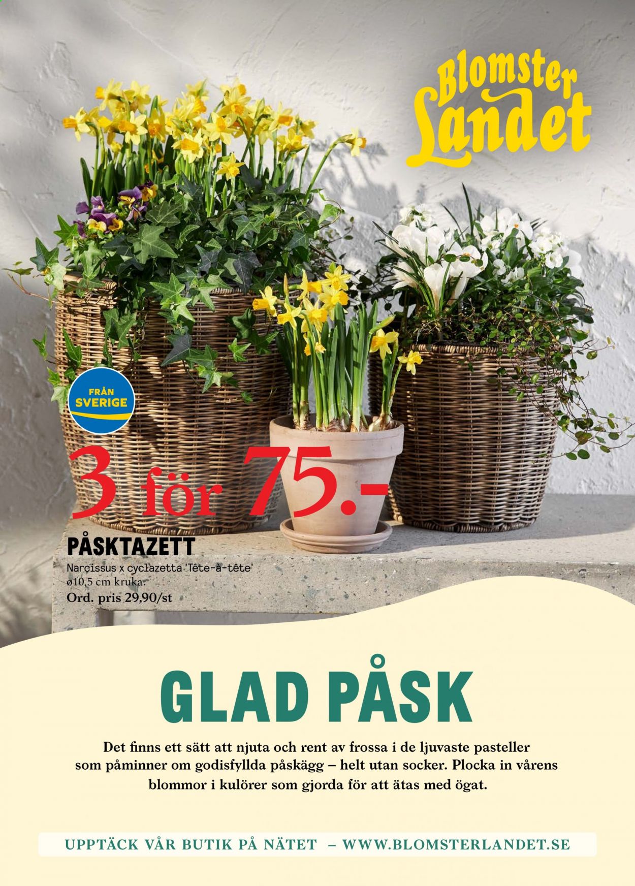 thumbnail - Blomsterlandet reklamblad - 22/3 2021 - 28/3 2021 - varor från reklamblad - kruka. Sida 1.