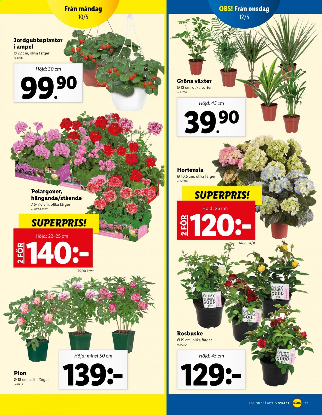 Lidl reklamblad - 10/5 2021 - 16/5 2021. Sida 23