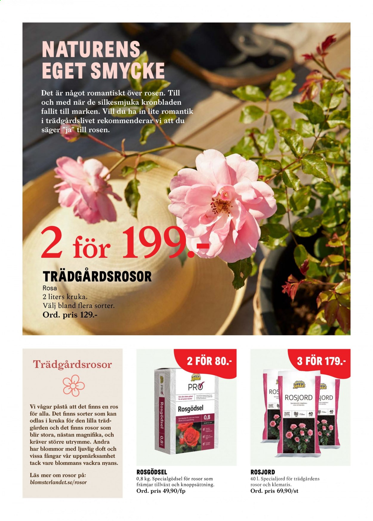 thumbnail - Blomsterlandet reklamblad - 3/5 2021 - 9/5 2021 - varor från reklamblad - rosor, kruka. Sida 4.