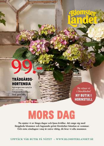 Mors Dag Erbjudanden Och Reklamblad Dina Reklamblad