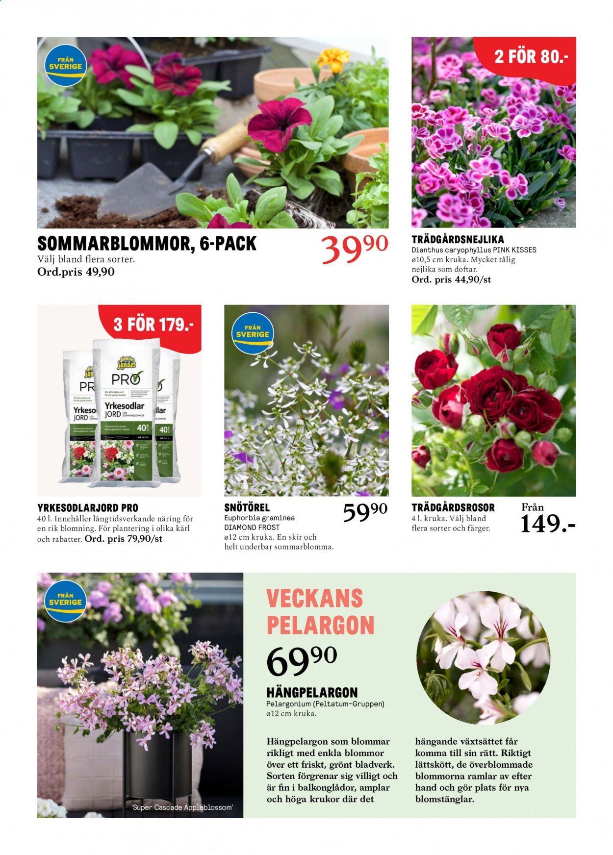 thumbnail - Blomsterlandet reklamblad - 24/5 2021 - 30/5 2021 - varor från reklamblad - cascade, kruka. Sida 7.