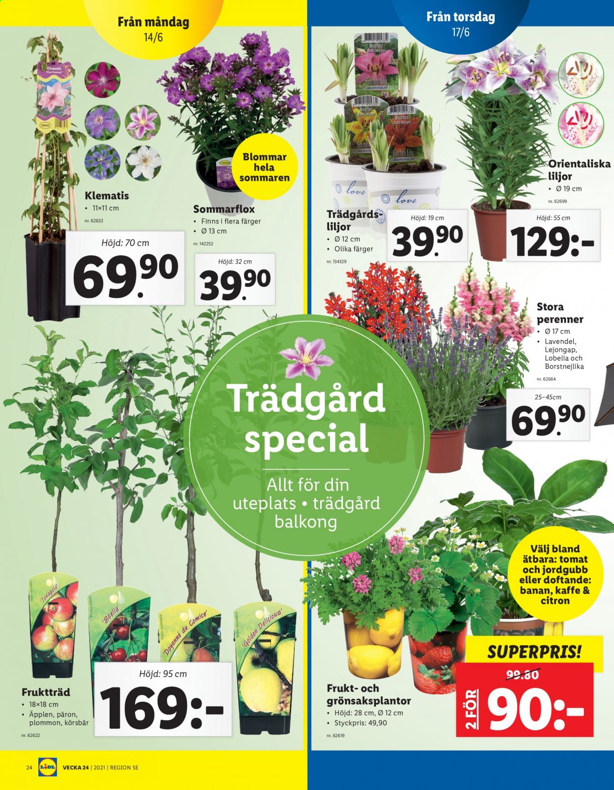 Lidl reklamblad - 14/6 2021 - 20/6 2021. Sida 24